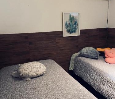 El Quisco Villa | Casa linda en bosque mar