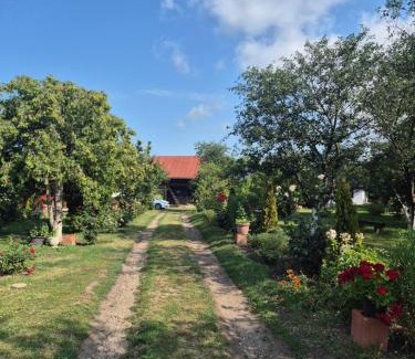 Tirgu Ocna House | Casa Livada Bunicii