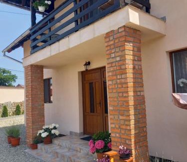 Cartisoara House | Casa Loredana