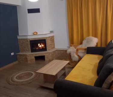 Cartisoara House | Casa Loredana