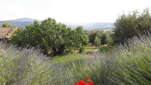 Panicale House | Casa Lorenzo