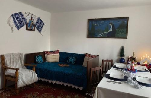Mihalt House | CASA LUI MOȘU