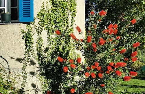 Vico House | Casa Maria