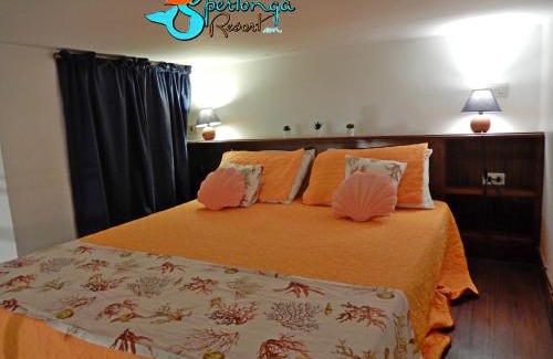 Sperlonga Apartment | Casa Marina Sperlongaresort