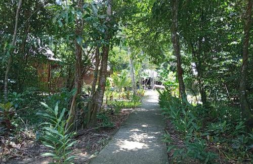 Puerto Barrios Cabin | Casa Maya