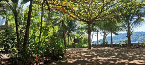 Puerto Barrios House | Casa Maya