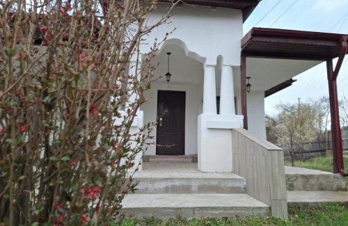 Valcea House | Casa Michel