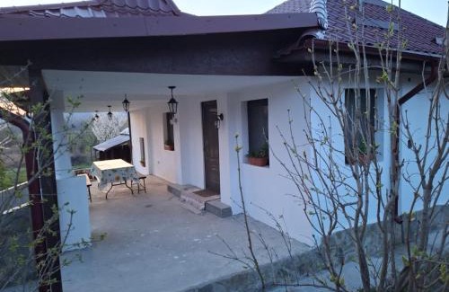 Valcea House | Casa Michel