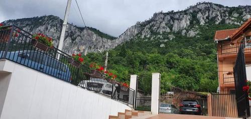Baile Herculane House | Casa Mimi