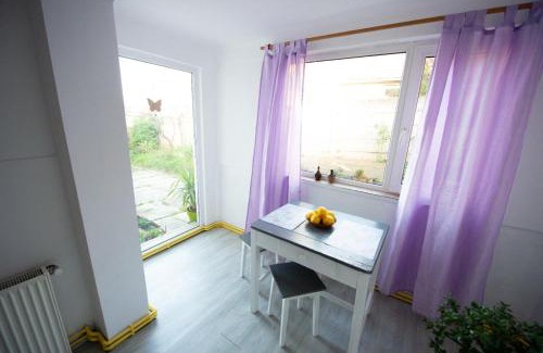 Brasov House | Casa Momo & Toto