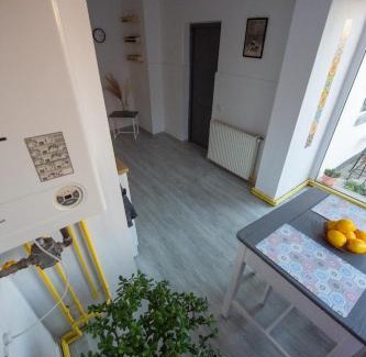 Brasov House | Casa Momo & Toto
