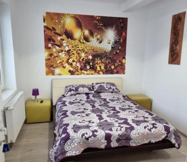 Campulung House | Casa Musceleana