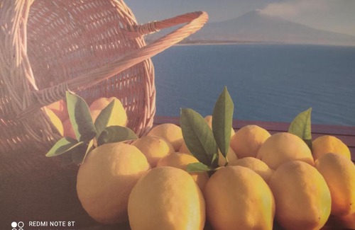 Aci Sant'Antonio House | Casa natura e relax