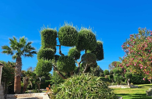 San Vito dei Normanni House | Casa Nidolino - your holiday home in Puglia, Italy