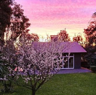 Joao Alves House | Casa no Bosque