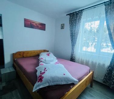 Pojorita House | Casa Ovidiu