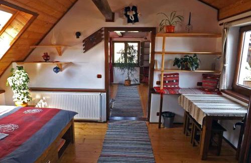 Saliste House | Casa Pelu