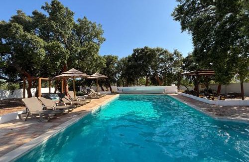 Sao Bras de Alportel House | Casa Portus - Turismo Rural