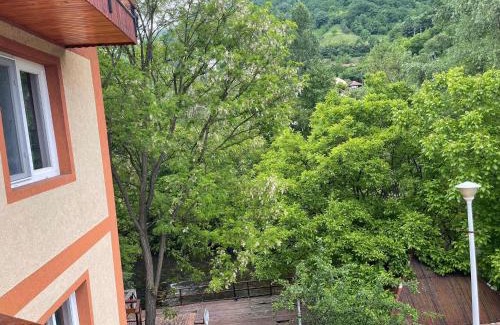 Baile Herculane House | Casa Princess