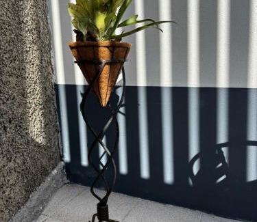 Sao Roque House | Casa Ribeiro