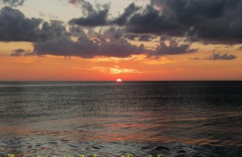 Campeche Bed & Breakfast | Casa Rosanna