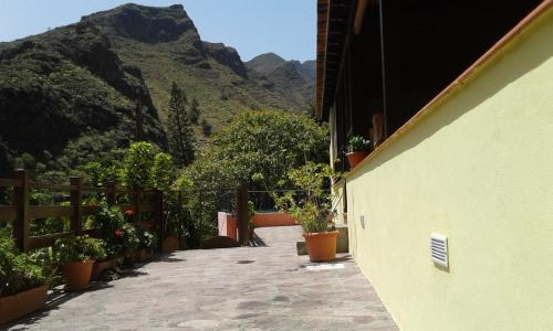 Lomito Fragoso y Honduras House | Casa Rural Rincón del Olivo