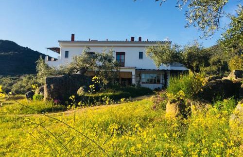 Almoharin House | Casa Rural Flores Amarillas