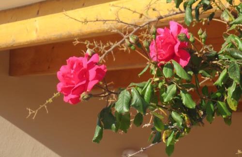 Sant Francesc Xavier House | Casa Rural Ideal para Parejas - Formentera