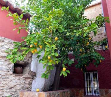 Zorita House | Casa Rural La Perra Gorda