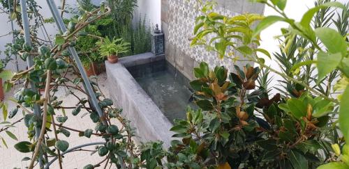 Fuente-Tojar Bed & Breakfast | Casa Rural los Danzantes