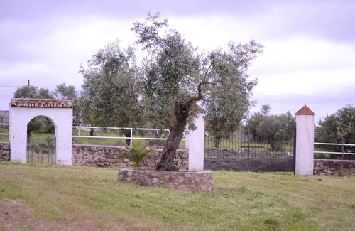 Casar de Caceres House | Casa Rural Los Jarales Número Registro TR-CC-00365