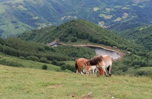 Arantza House | Casa rural SOROA landetxea