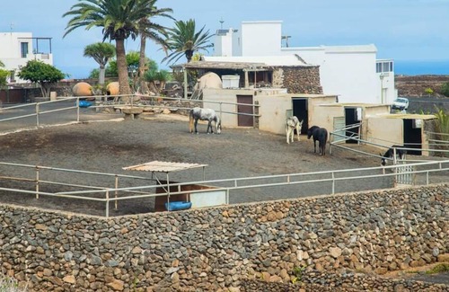 Tajaste Apartment | Casa Rural Yeyo in the volcano crater