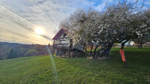 Moieciu Cabin | Casa rustica