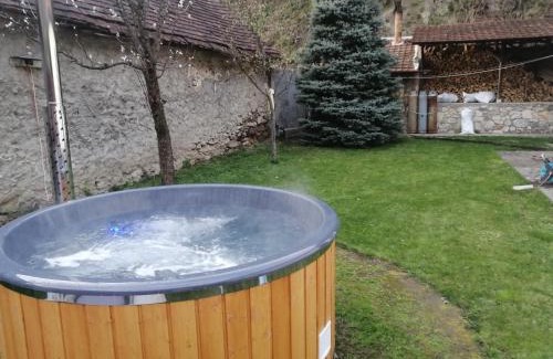 Sasca Montana House | Casa Sasca Montana