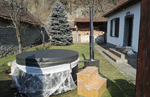 Sasca Montana House | Casa Sasca Montana