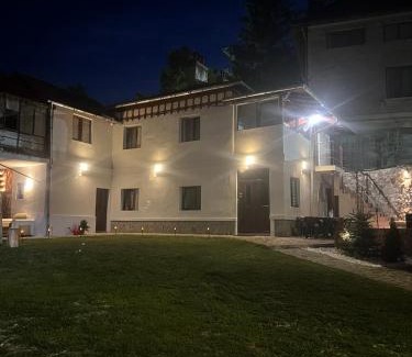 Sinaia Apartment | Casa SEMA