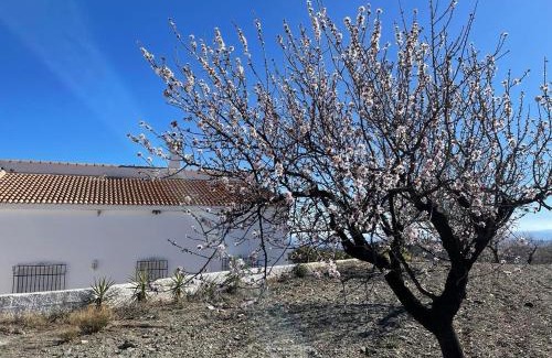Taberno House | Casa Siara