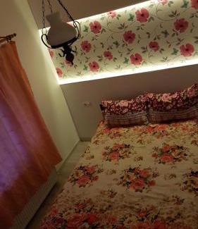 Rosia Villa | Casa Simion