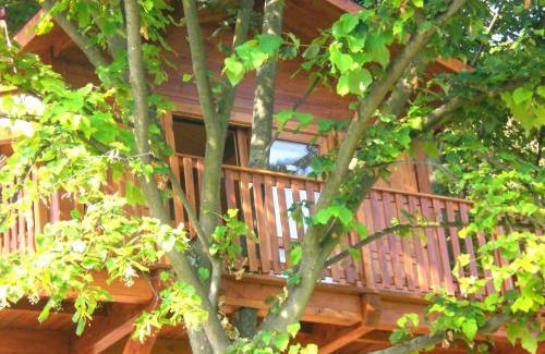 San Salvatore Monferrato House | Casa sull'Albero Aromantica