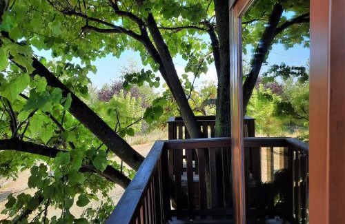 San Salvatore Monferrato House | Casa sull'Albero Aromantica