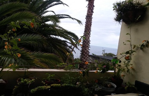 Terra do Pao Apartment | Casa terra do pao - Apartment Margit, at the foot of the Pico-splendid sea view