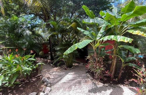 Playa Grande Bed & Breakfast | Casa Tropical Playa Grande