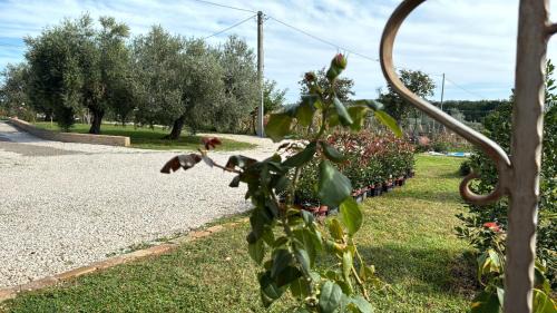 Miglianico Apartment | Casa Vacanze Cerreto 1