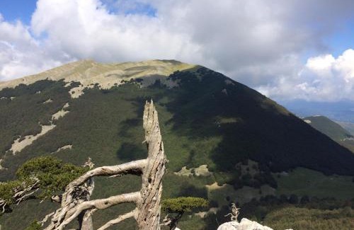 Fardella House | Casa Vacanze del Pollino