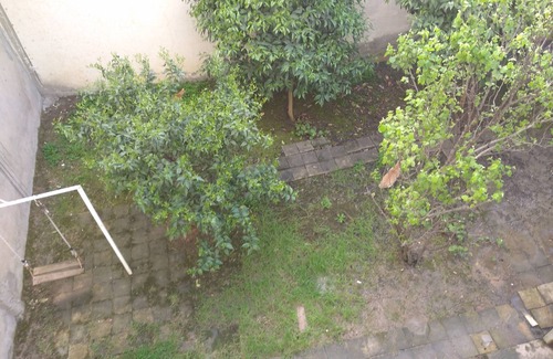 Bizerte Apartment | Casa Vacanze il Tulipano