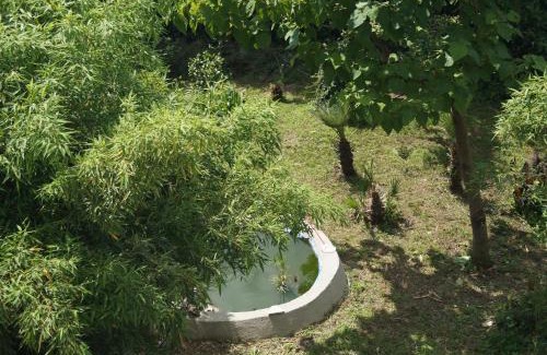 Montefalcione Apartment | Casa Vacanze L'Agrifoglio