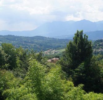 Montefalcione Apartment | Casa Vacanze L'Agrifoglio