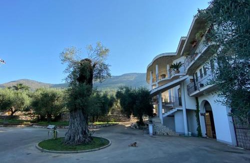 Sonnino Apartment | Casa Vacanze La Selva