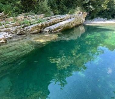 Bibbiena House | Casa vacanze nel bosco della Quercetina